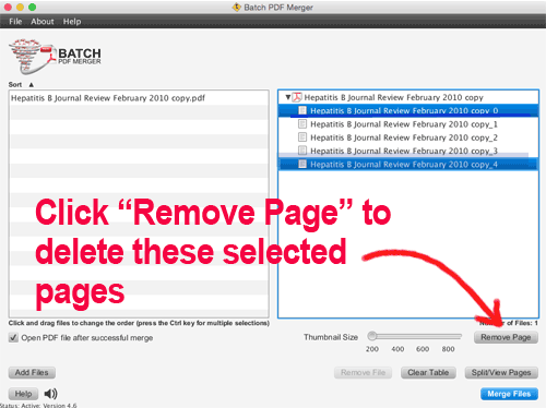 delete pdf page